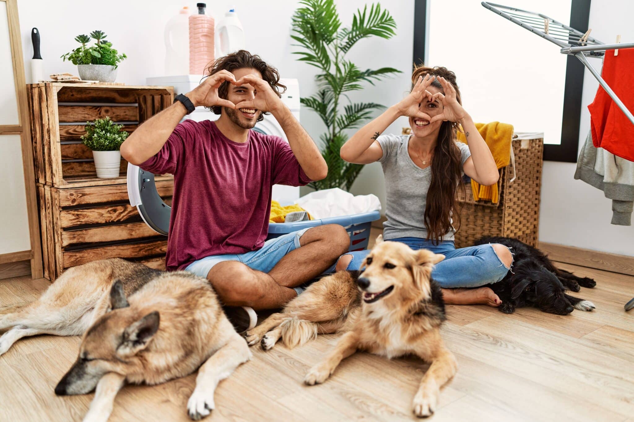 should-you-allow-pets-in-your-long-beach-rental-pros-cons-and-legal-considerations